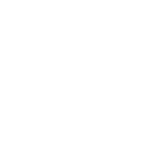 Star Academy Boston logo