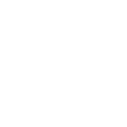 Star Academy Boston